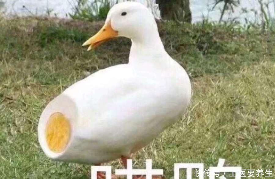 从沙雕网友那偷来的沙雕表情,搞笑我们是认qq丑女图片包表情图片