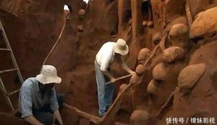 超级庞大的地下蚂蚁王国,挖掘历时十年