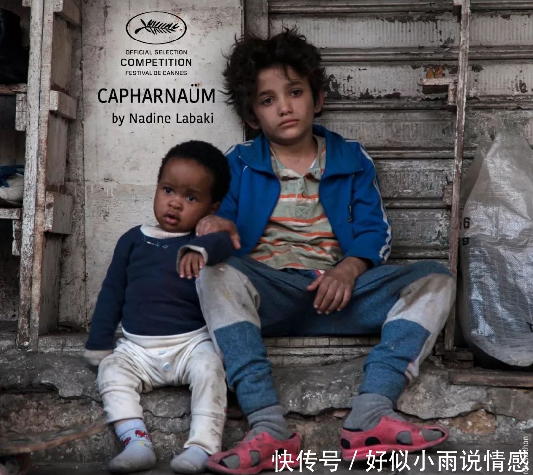 2019年奥斯卡最佳外语片竞争者名单出炉,满满