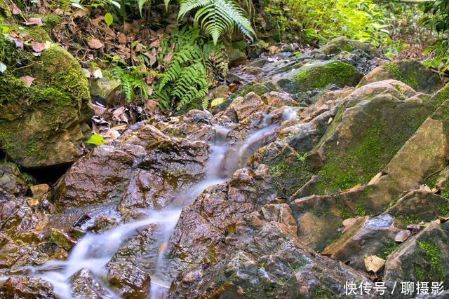 作为摄影人的你,如何使用变焦镜头是你所需要