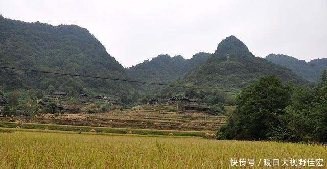 t015b9edf972c166e92.jpg?size=640x331