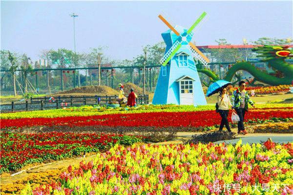 江门市科普教育基地花落长廊生态园,未来成为