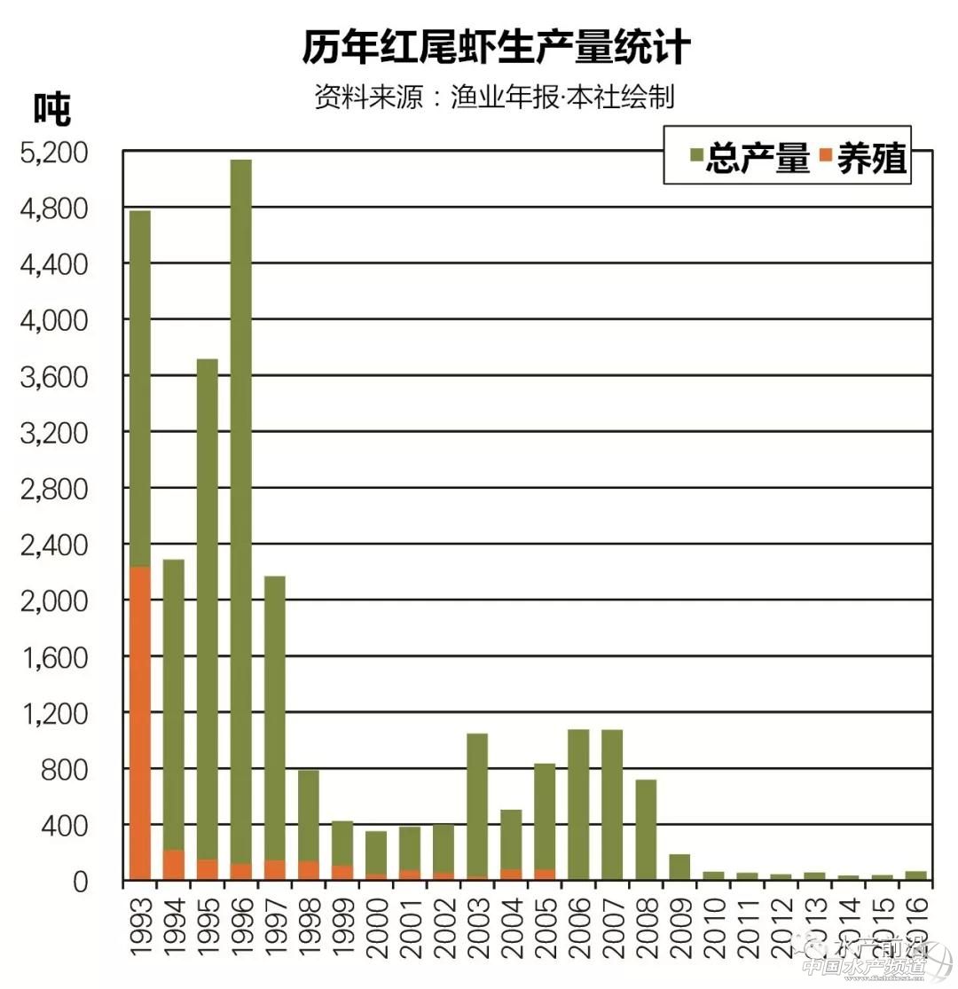 这种虾市价媲美白对虾，或成白虾的替代品种?