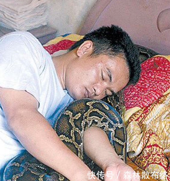 男子救回一条蟒蛇，还养到了4米长，结果发生了不可思议的一幕
