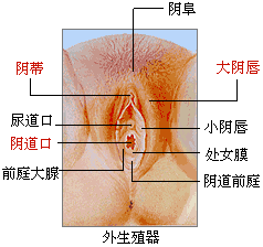 <em>叽叽叽叽</em>你家-