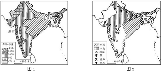 读印度降水量图(图1)和印度农作物分布图(图2,结合所学知识,回答问题