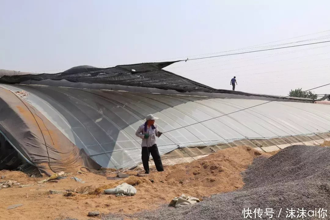 “高温+强降雨”即将来临！菜农提前做好准备！