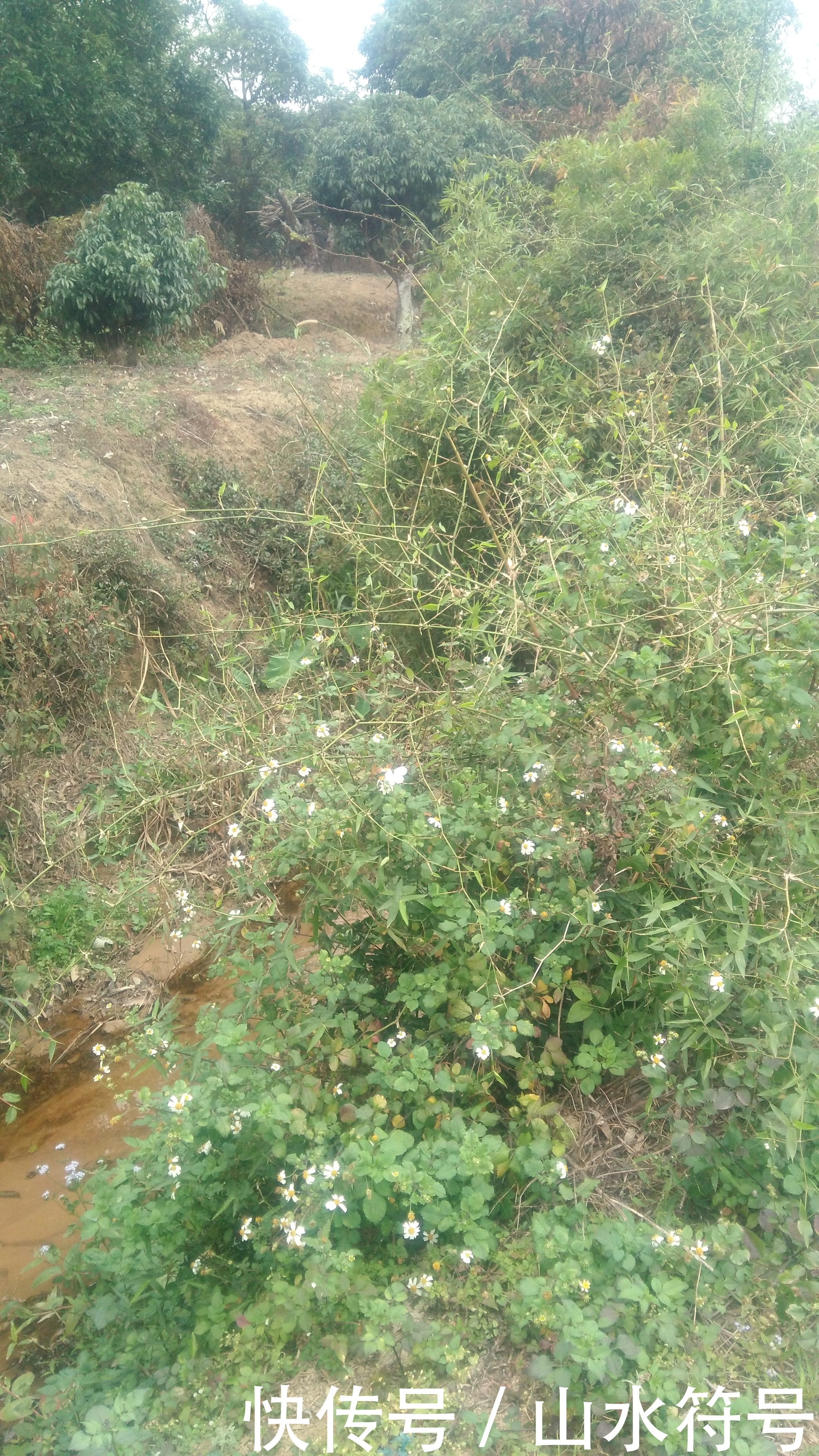 春节后的农田景象广西浦北县白石水