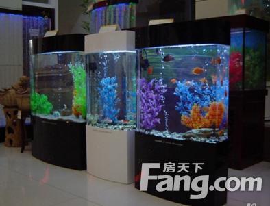 玉山縣小占萬洲水族漁具店