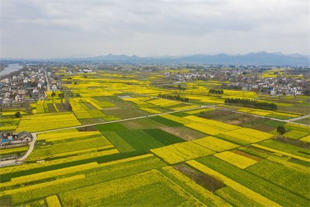 鋼結(jié)構(gòu)拆圖是什么意思（鋼結(jié)構(gòu)拆圖自學(xué)要多久） 結(jié)構(gòu)污水處理池施工