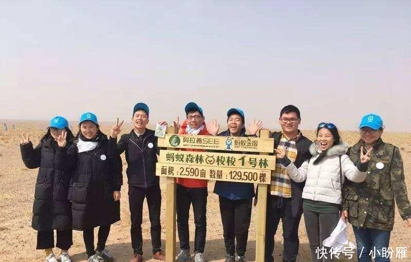 t01633a8519ec23768a.jpg?size=800x510