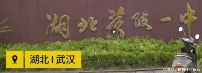 停职是什么意思