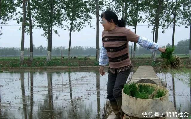 小姑子离婚,我送侄子和儿子一起上学,婆婆一语