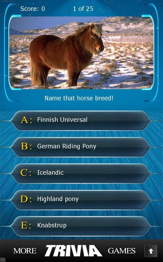 Name that Horse Breed Trivia截图9