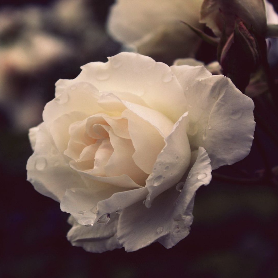 贾冰这个小品最近又火了,剧情峰回路转,观众们