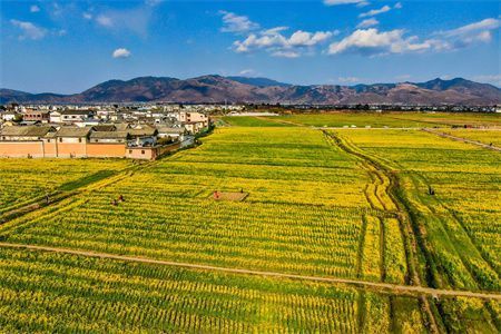 承重墙的加固措施有哪些(承重墙加固后如何验收) 钢结构蹦极设计 第1张 承重墙的加固措施有哪些(承重墙加固后如何验收) 钢结构蹦极设计 第1张