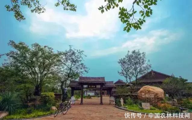 从无到有,年入6亿的特色小镇是如何炼成的?