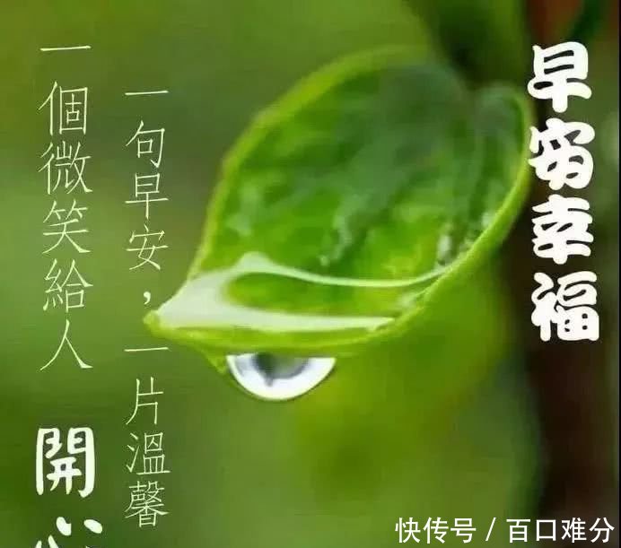 2019特漂亮的早上好v生日生日表情图片表情带鲜花动态包动图图片