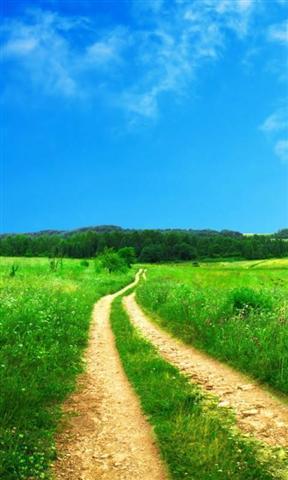 3D路直播壁纸(高清版…_360手机助手