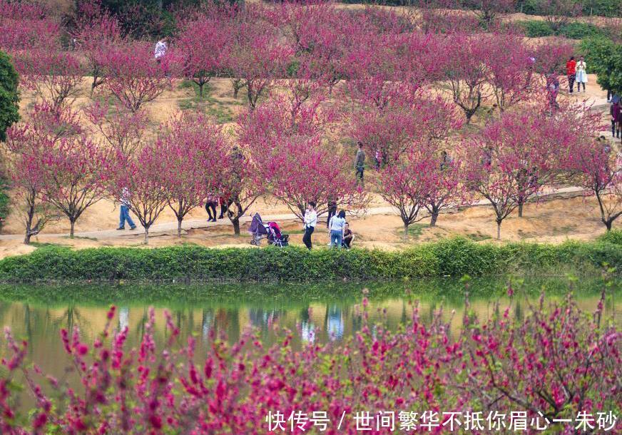 19年狮山镇gdp全国排名_2020年全国gdp排名