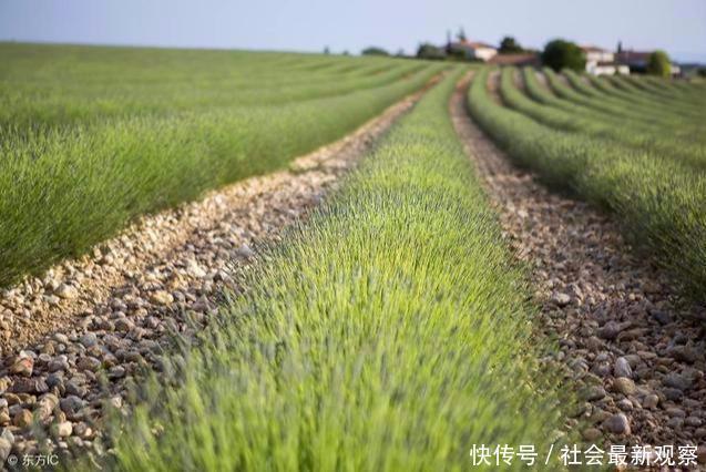 农民朋友注意了!2019年农村土地最新政策,要提