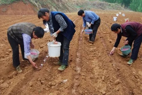 确定了!五一肯定下雨!近期降雨及温度走势预测