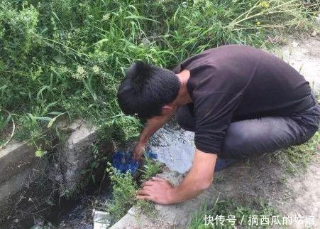 走访了100家生态小农场,成功的只有十分之一,都有这3个特点