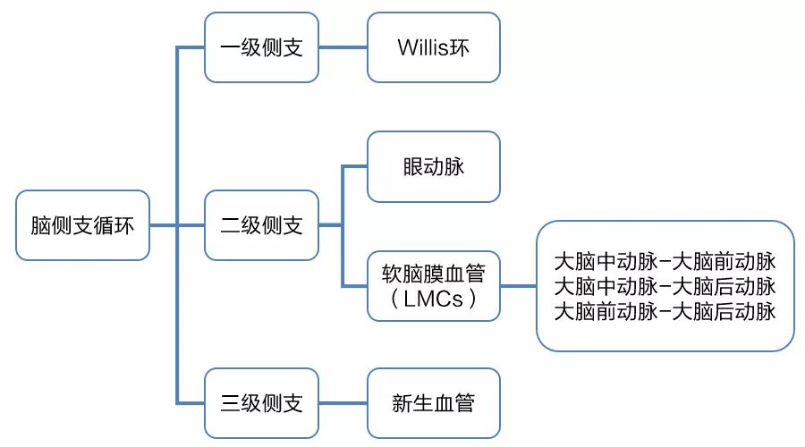 徐运:脑血管与侧支循环，联系在哪儿?如何评估?|CSC2018