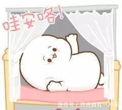 大家晚上好表情小狗晚上好动画表情动态表情包出列图片