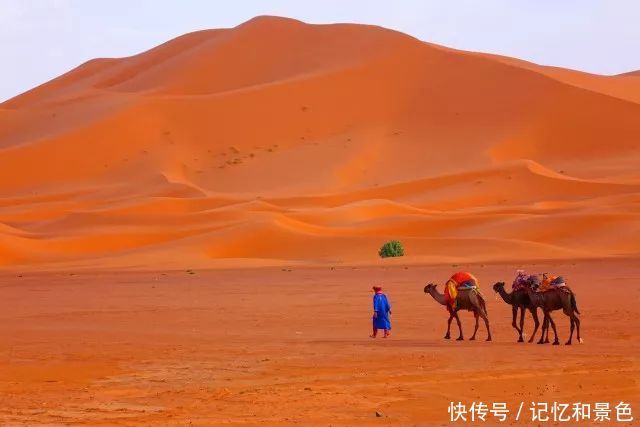 突尼斯：跨越地中海 走进撒哈拉