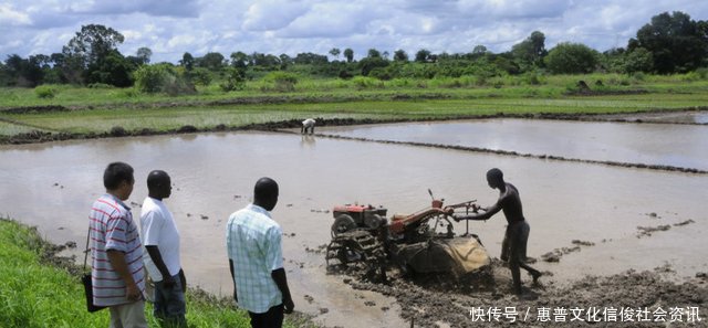 中国人到非洲教当地人种田,黑人工作2小时就表