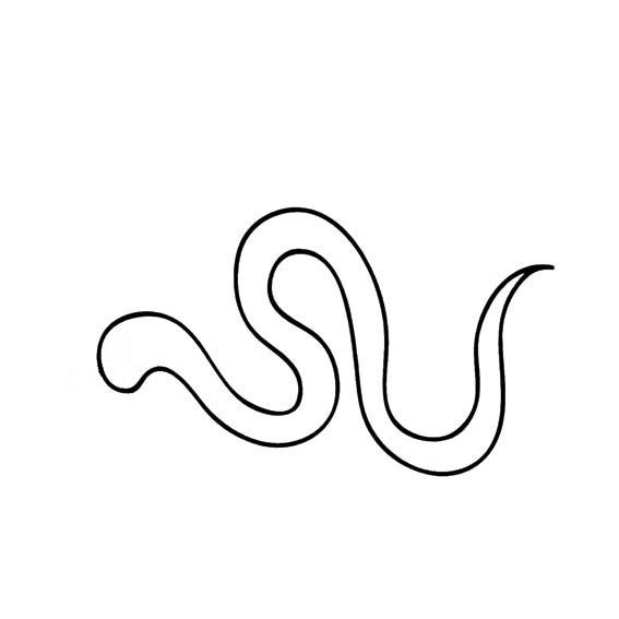 简单的蛇怎么画_360问答