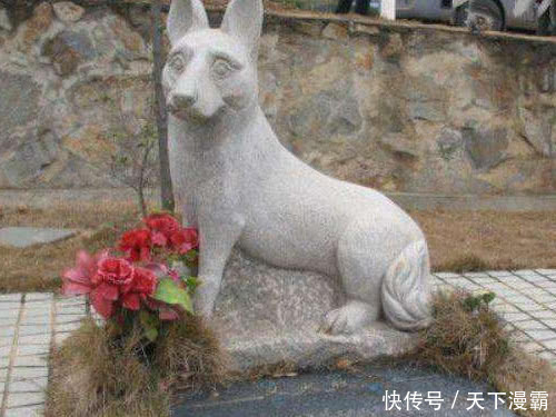 比起明星出轨,这些图片才是最值得被曝光的!