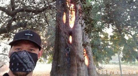 大树着火,男子看到吓得立马报警,警察来到后直接把他带走了