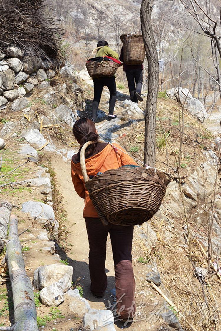 蹒跚生活,只有老人的河北小山村