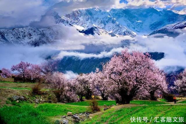2018林芝桃花节时间敲定!下个月来西藏,邂逅中