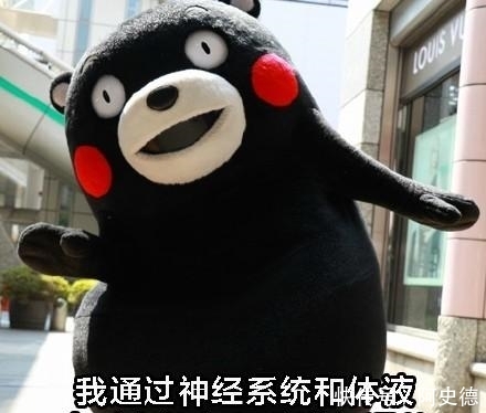 月工资按多少天计算