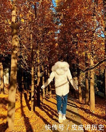 冯绍峰婚后性情大变?赵丽颖对此发文表态