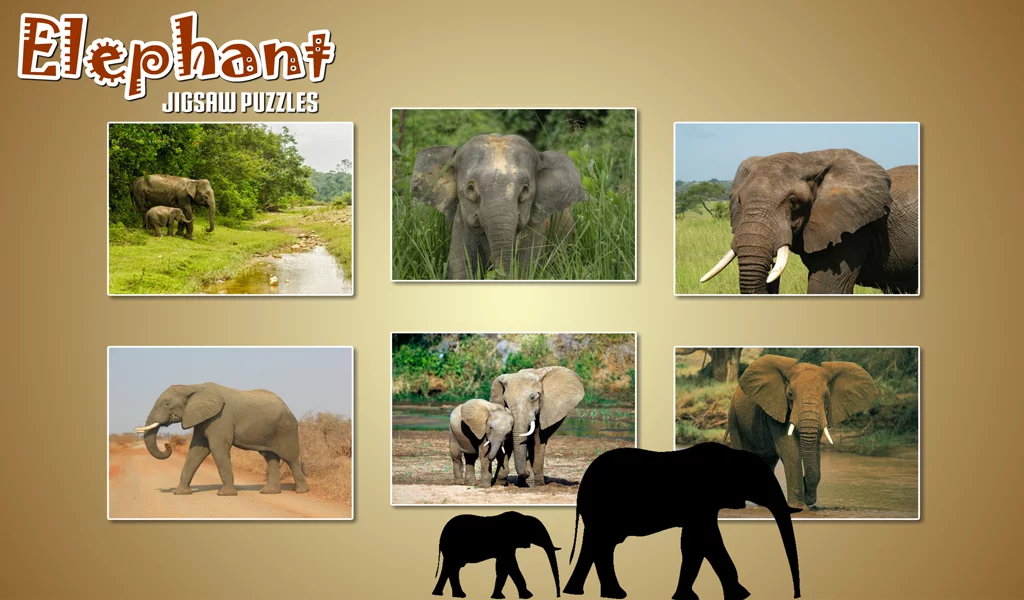 Elephant Jigsaw Puzzle截图10