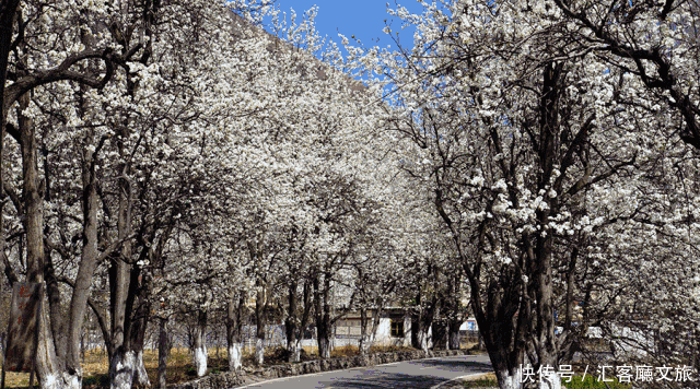 清明小长假,我想去这9个绝美的地方踏青!