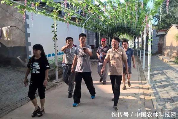 河北大名县的“第一书记”们留下了哪些财富?