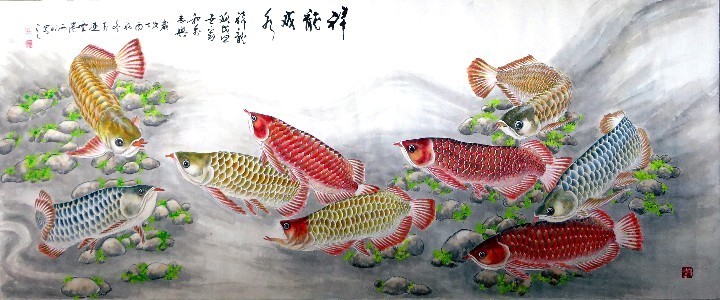 高要區(qū)南岸嘉寶水族店（高要區(qū)南岸嘉寶水族店電話）