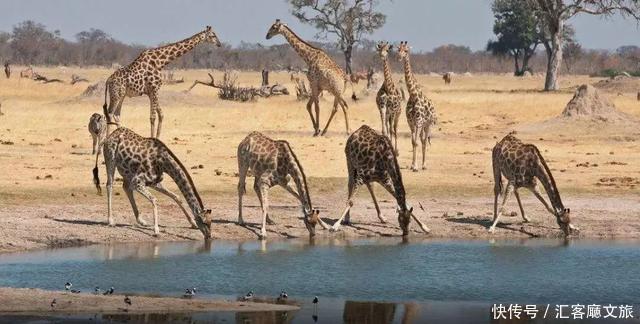 江一燕流连忘返的圣地,探险家的乐园,这个国度终于落地签啦!