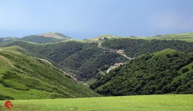 井尔梁高山草原,位于呼和浩特市回民区西北部乌素图召所倚的大青山上.