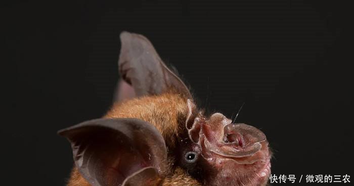 现在北京非典疫情