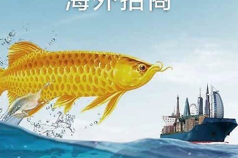 晉州賣魚缸的地方在哪個位置?。〞x州賣魚缸的地方在哪個位置啊 祥龍水族醫(yī)院