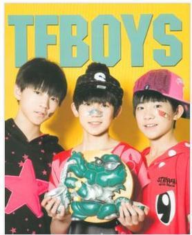 tfboys成员资料