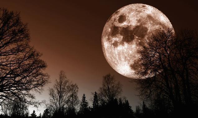 大地震可能增加?科学家:地球更换血液,全球人