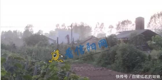 信阳市浉河区107国道路边的石子厂, 机器轰鸣