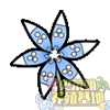 冰之花 冰之花